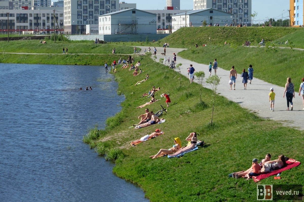     Фото: Владислав Постников / Вечерние Ведомости