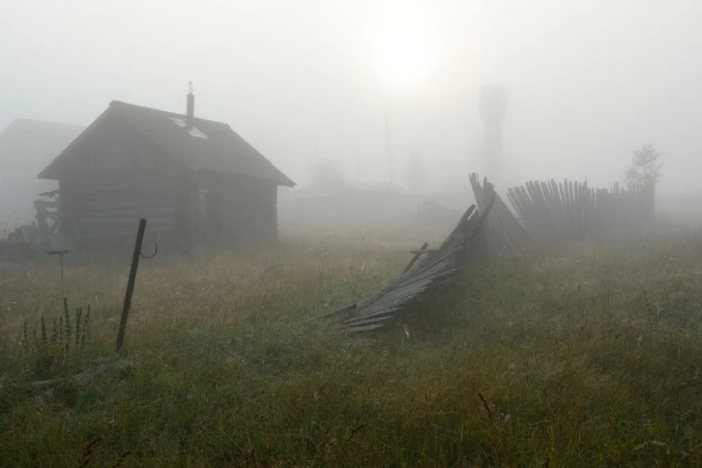 фото из интернета