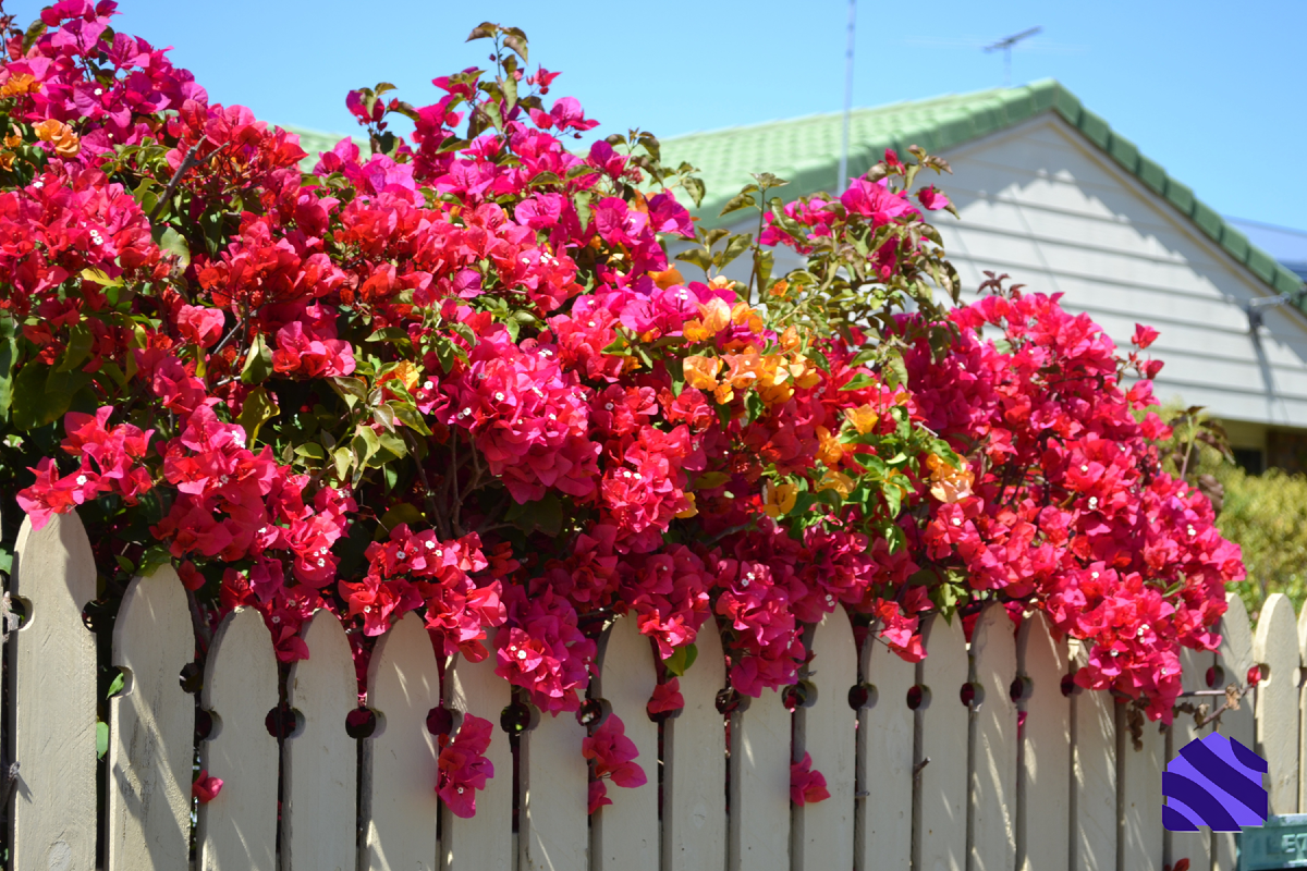 Деревянный забор