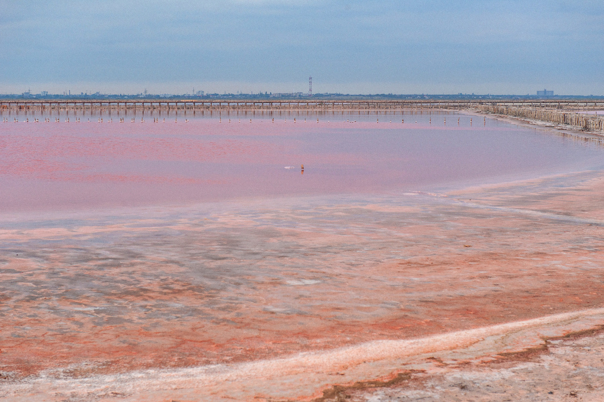 Фото сделано в сентября прошлого года