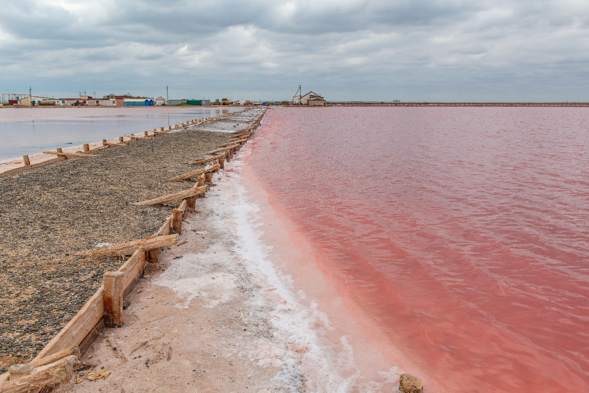 Фото сделано в сентября прошлого года