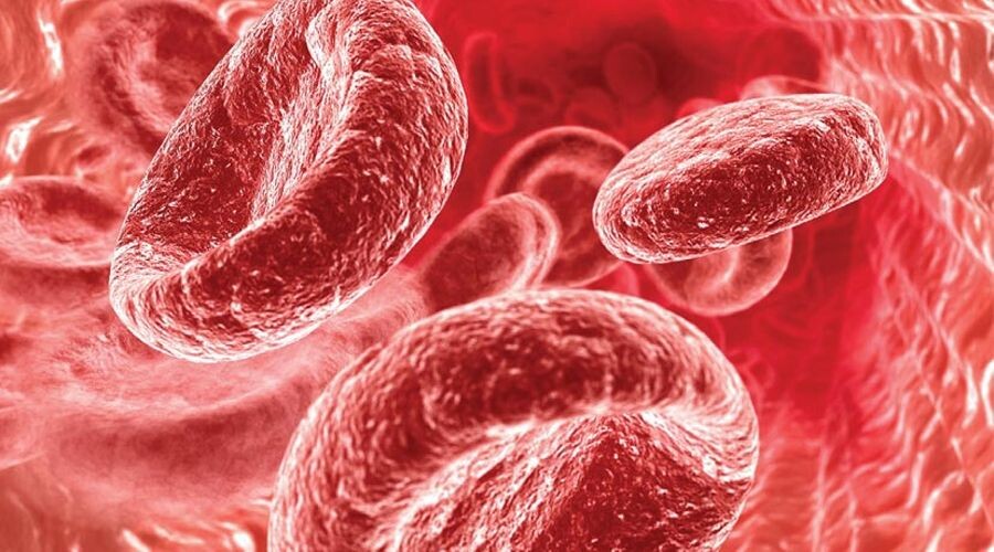 ГЕМОГЛОБИН: НЕ ПРОСТО ЦИФРА В АНАЛИЗЕ — КАК ЭТОТ БЕЛОК ВЛИЯЕТ НА ВАШУ ЭНЕРГИЮ И ДАЖЕ СРОК ЖИЗНИ (И КАК ЕГО ПОВЫСИТЬ БЕЗ ТАБЛЕТОК)