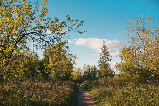    Топ-5 самых живописных мест для встречи рассвета в Кирове