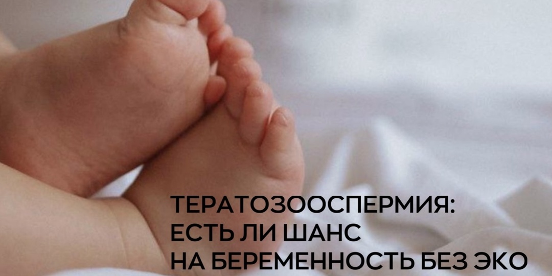 Всегда есть шанс на счастье