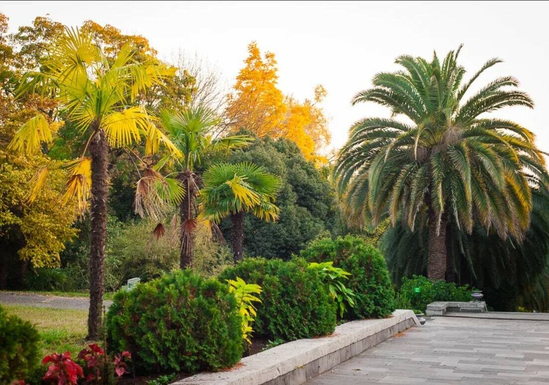 Погода в Сочи в октябре