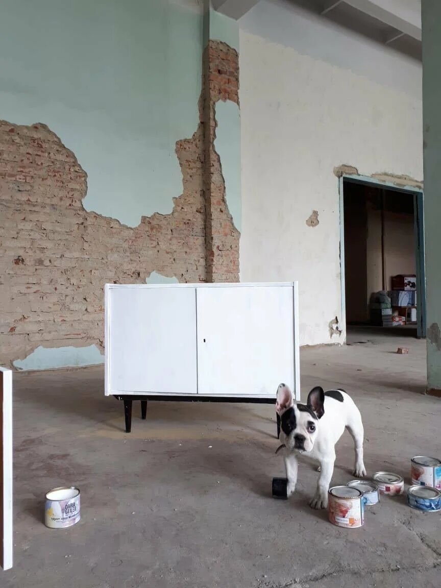 Специальный состав на водной основе без запаха, быстро сохнущий, для подготовки сложной поверхности к окрашиванию, усиливает cцепкость старой поверхности с меловой краской.