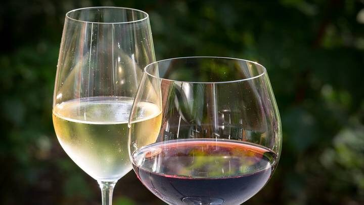 Врач Мекк рассказал об опасности домашнего вина