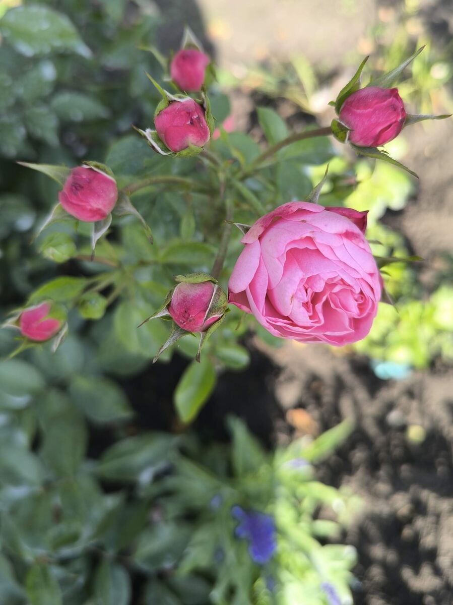 фото Татьяны