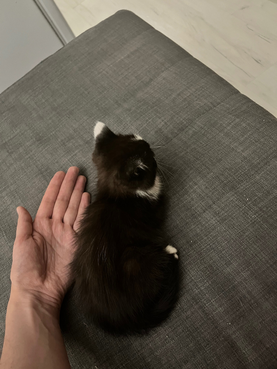 Вот такой вот