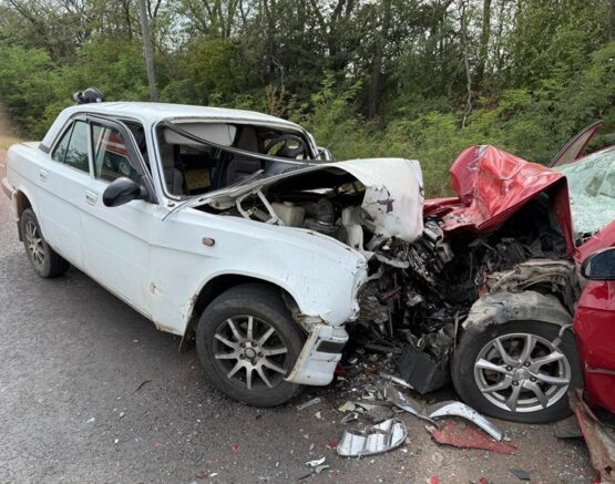    Фото: t.me/mvd01ra