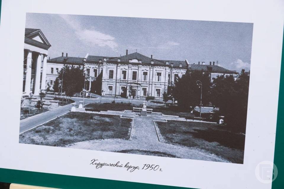    фото: Дмитрий Рогулин/"Городские вести"