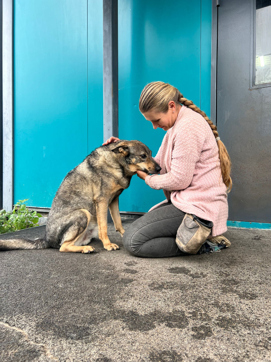 Собаки - мои главные терапевты души ❤️