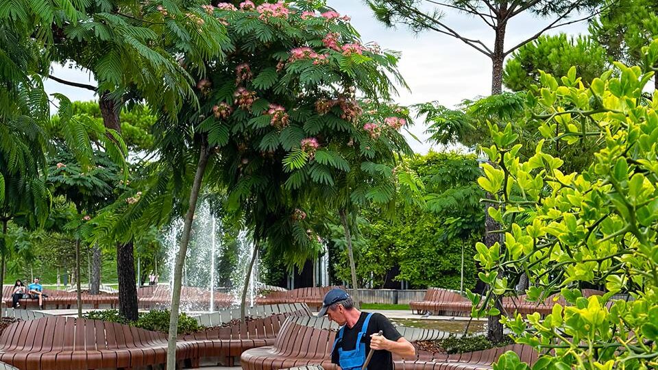 Прогулка по Парку Галицкого в Краснодаре: Открываем красоту природы в осенний день 🍂