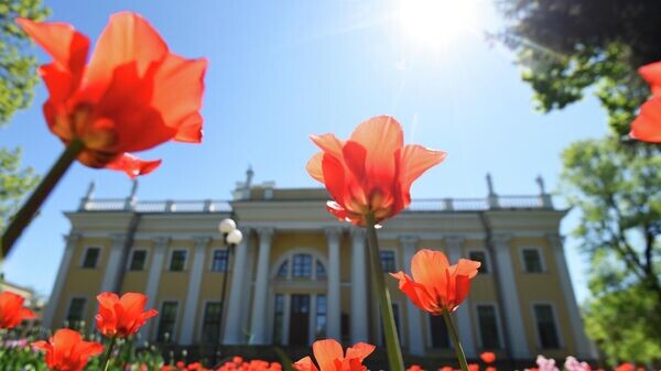    © Sputnik / Мария Амелина