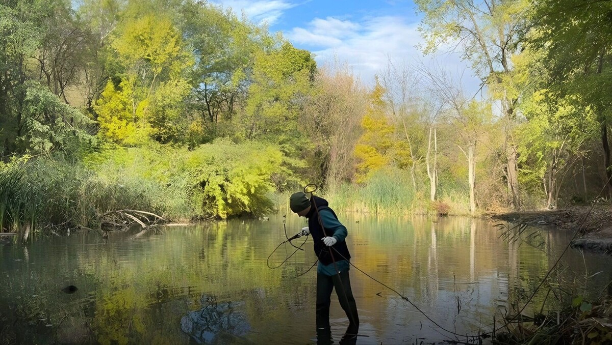     Автор: Минприроды Ростовской области Источник: Иллюстрация