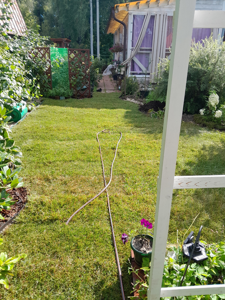 К вечеру 08.08.2025 г. полянка оформлена