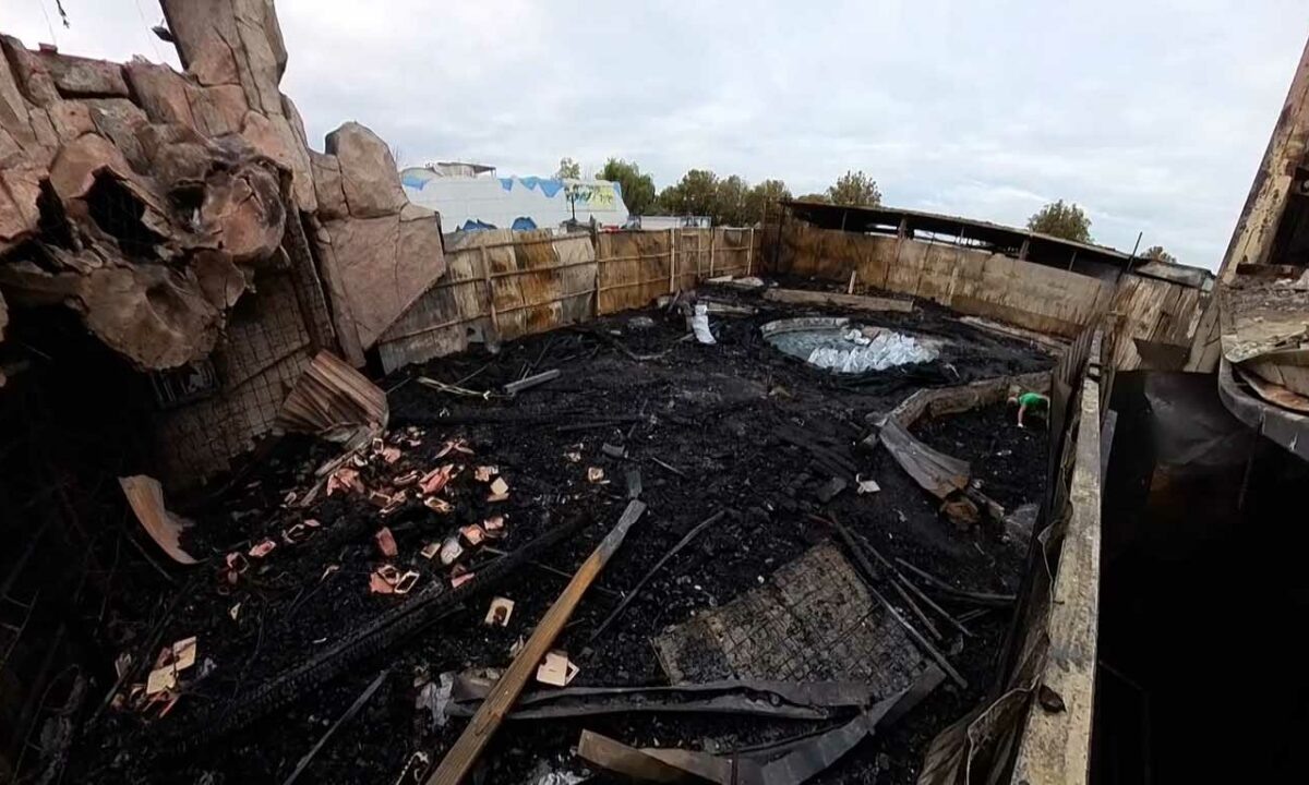    Видео канала «Кубань 24»