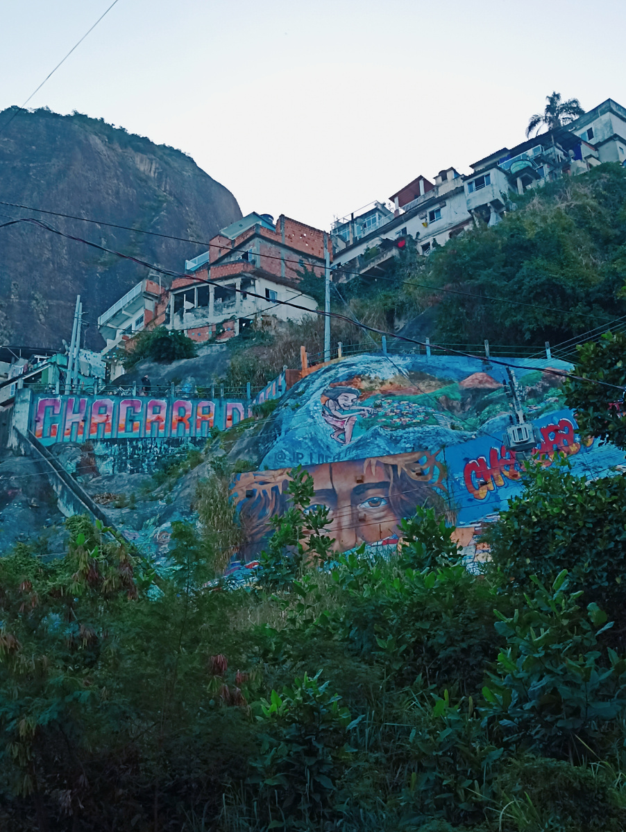 Вид на фавелу Видигал