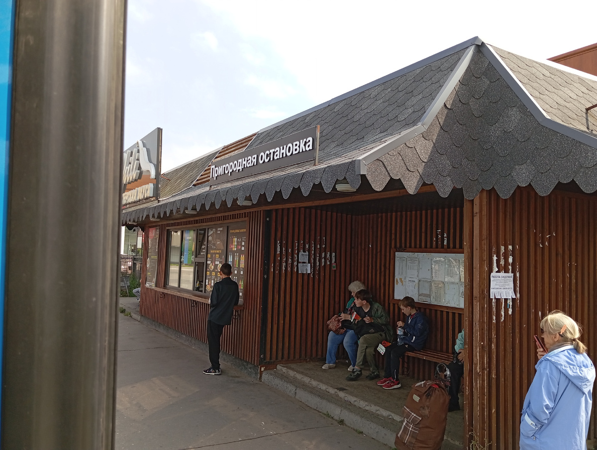 Вид из автобуса  -->