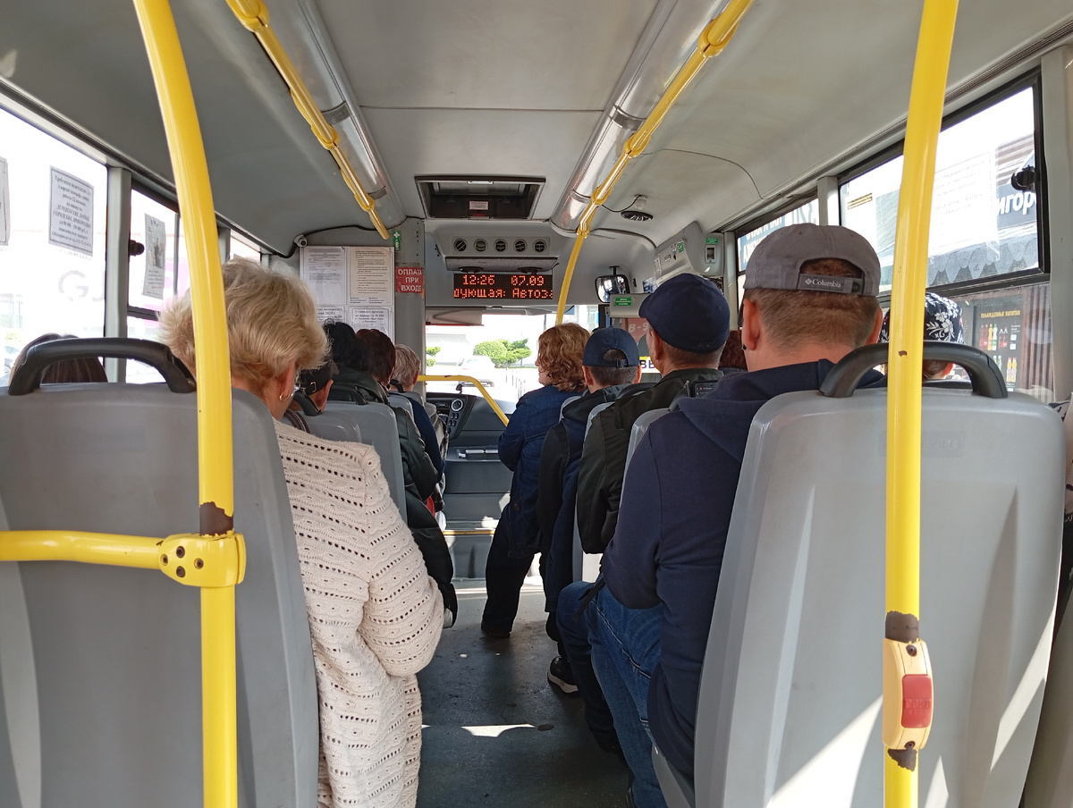 Вид из автобуса