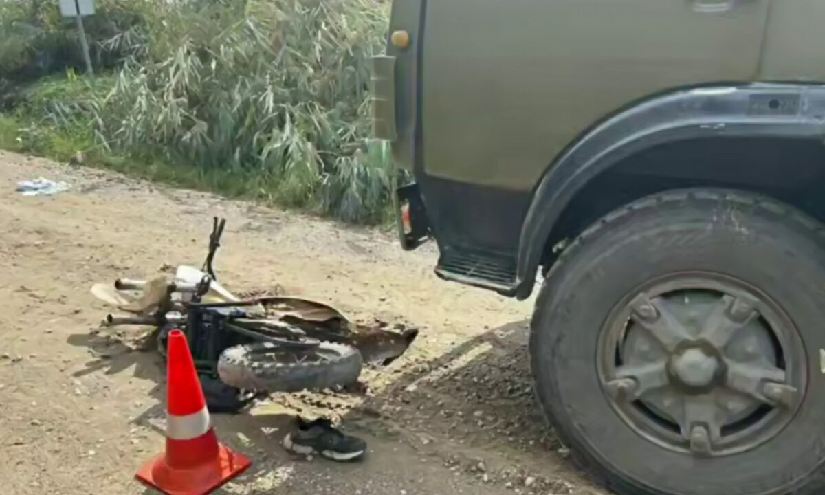    Фото t.me/gibdd123region