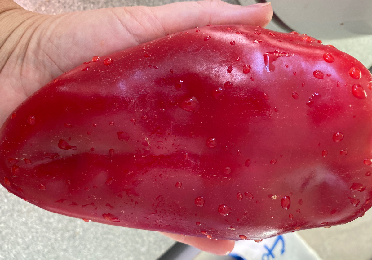 Сладкий перец. Фото автора статьи