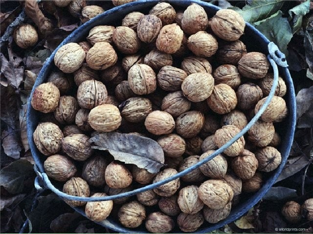 Из открытых источников Яндекс