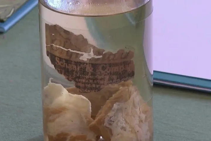 Образец «мясного дождя»