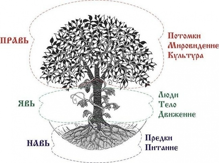 Мир славян: Явь, Навь, Правь
