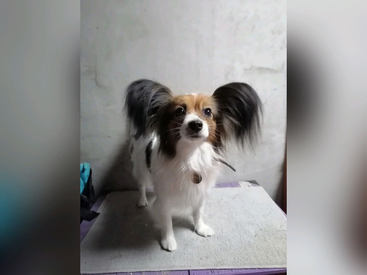     Фото: группа "Подслушано Поворино" во "ВКонтакте"