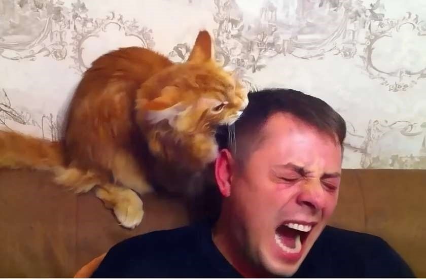 Люблю как душу - кусну, как грушу