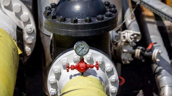    © Getty Images / Janos Kummer