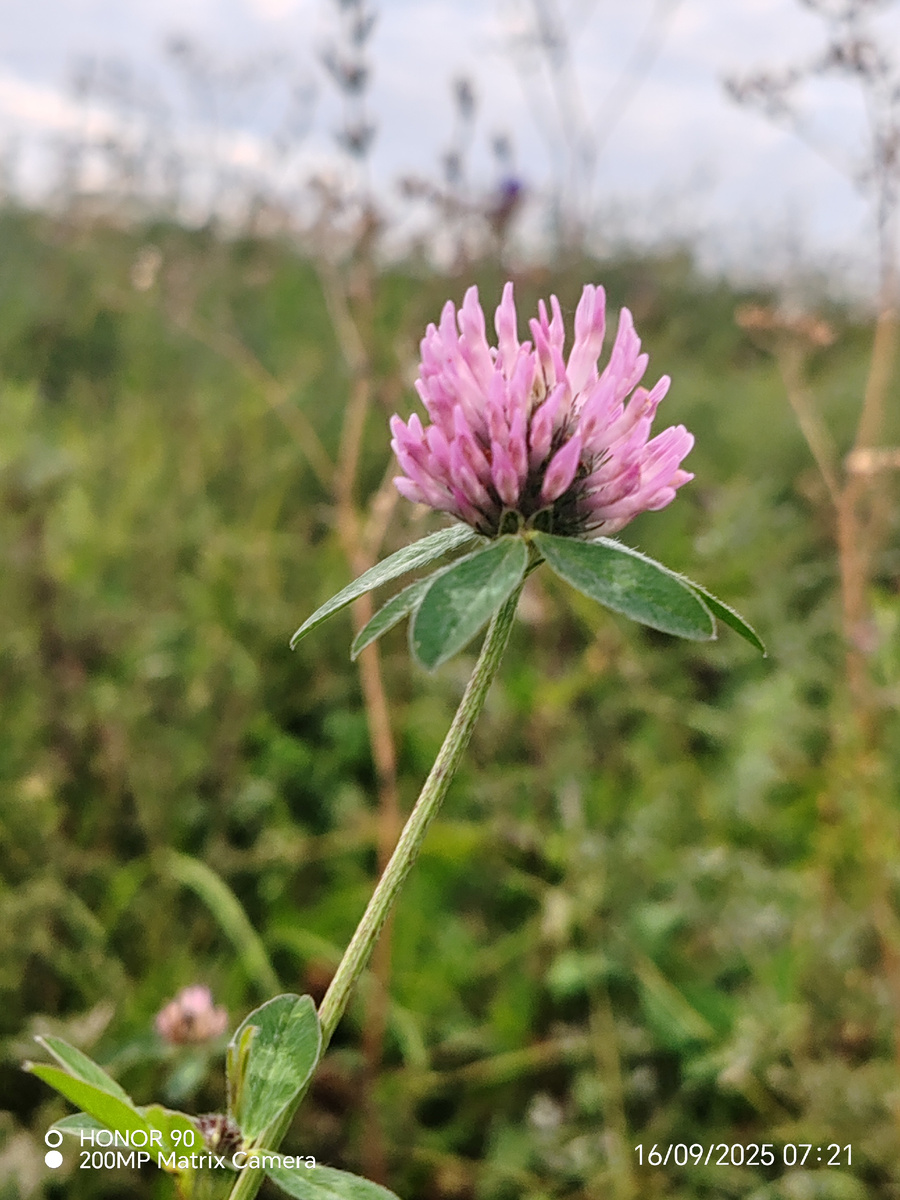 Фото автора канала. 