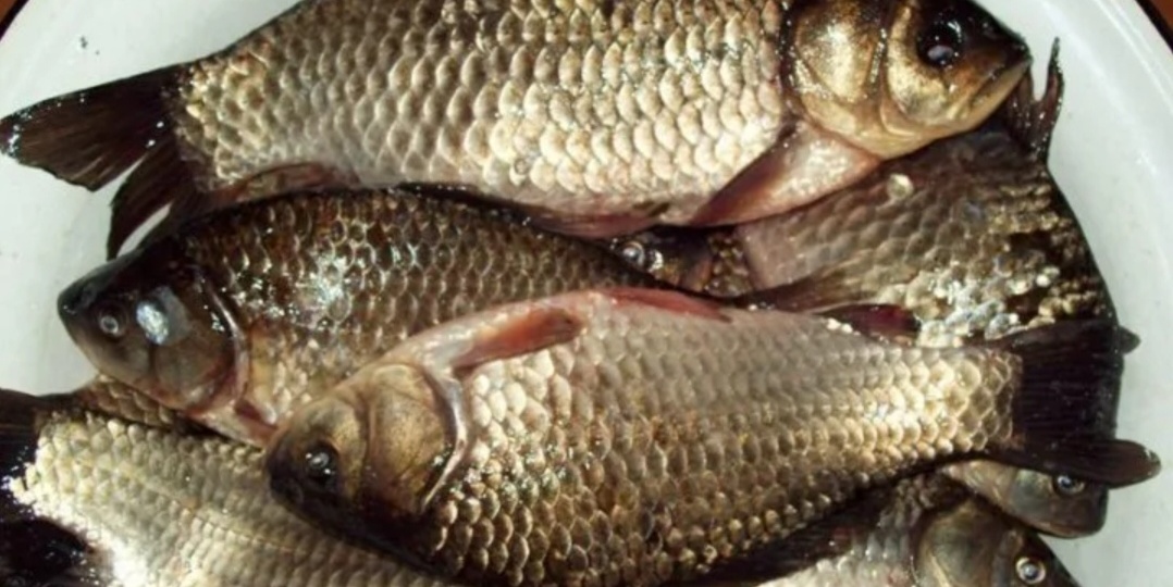 Жареные караси без косточек 🐟