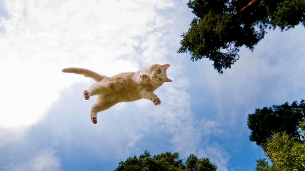 Раз-два и полетели