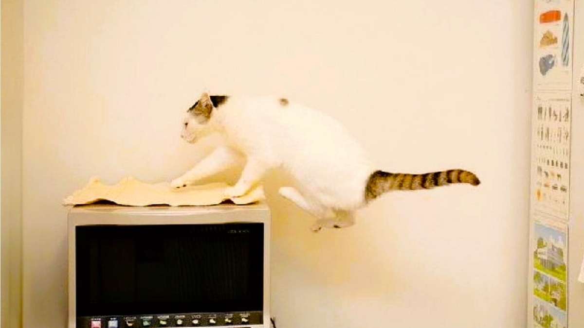 Алле-гоп! ЕЩЕ фото --->>