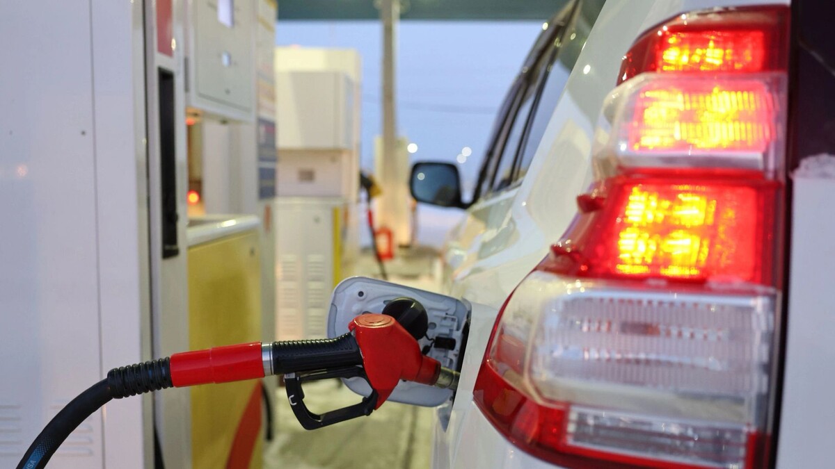    Фото: Андрей Ткачев / «Ямал-Медиа»