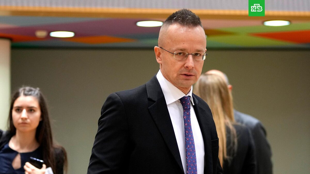    Фото: Associated Press © 2025, Virginia Mayo