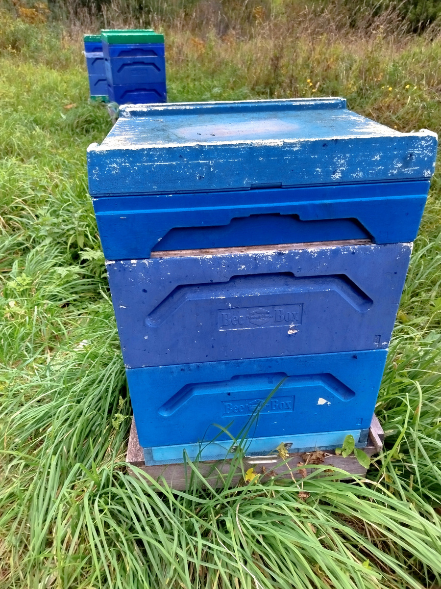 Финские улья Bee Box.