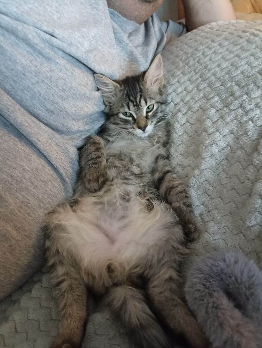 Растёт дитё♥️