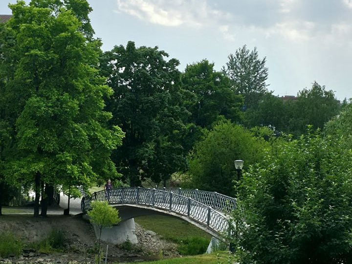 Успеть за два дня. Петрозаводск — это не город, это зелёное дыхание