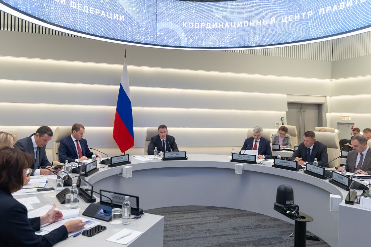 Дмитрий Патрушев, Александр Двойных 