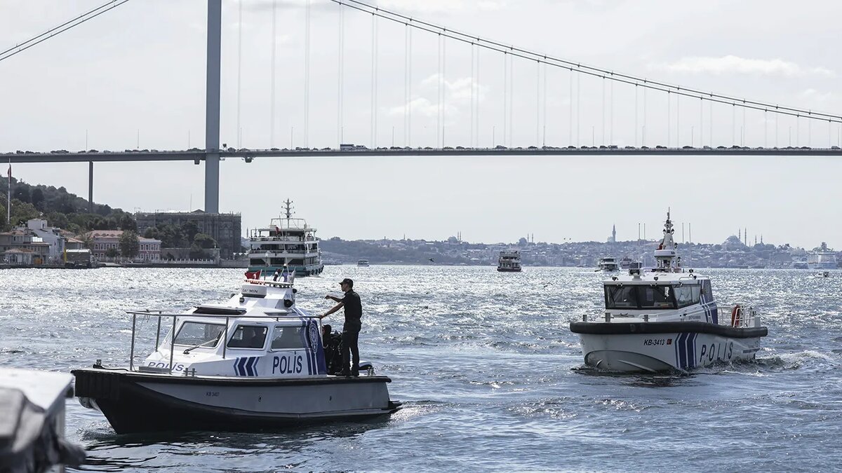   Erdem Sahin / EPA / TASS