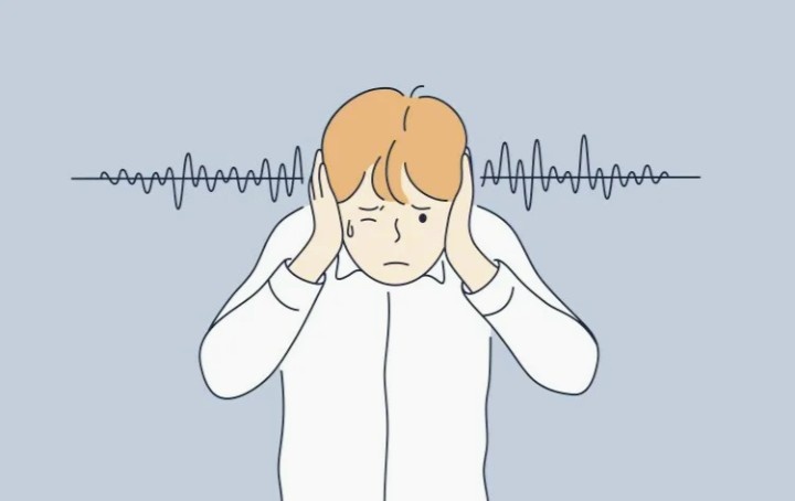 Картинка из интернета 