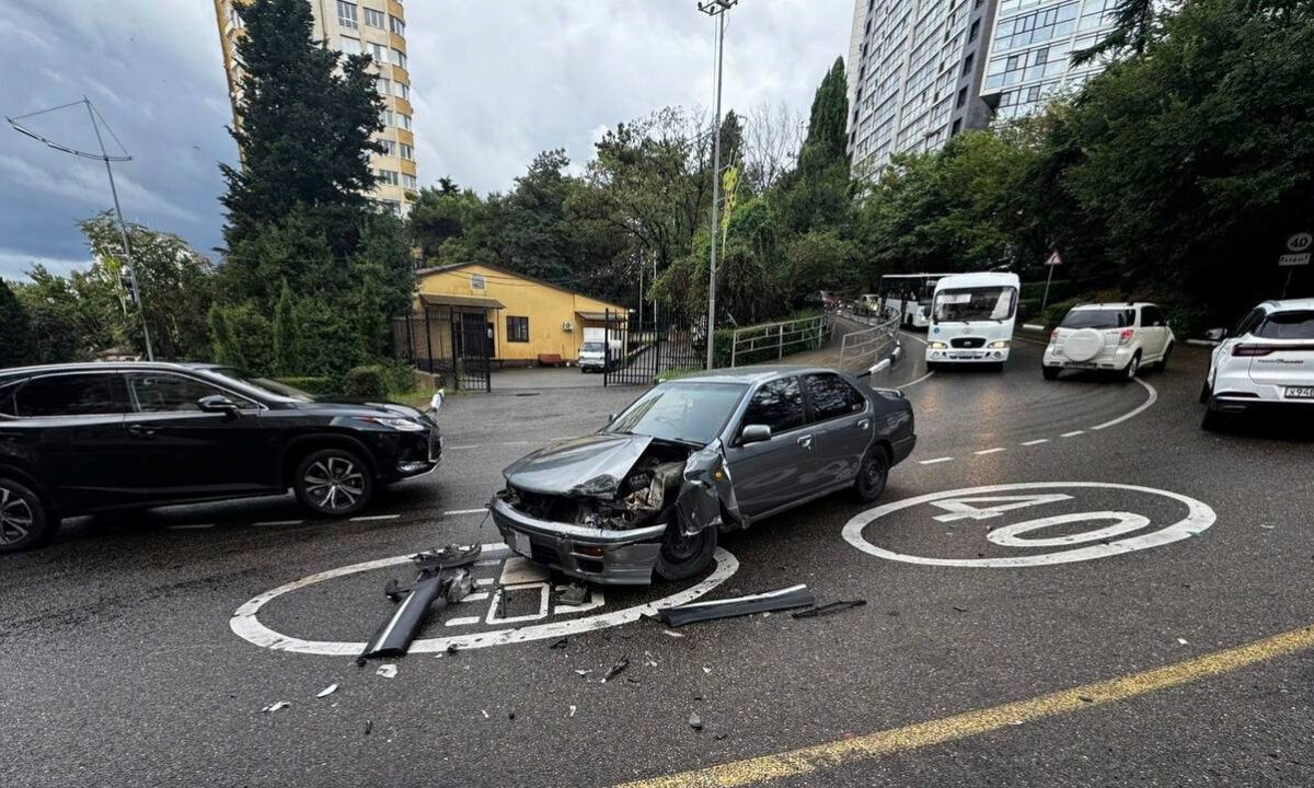    Фото t.me/gibddsochi