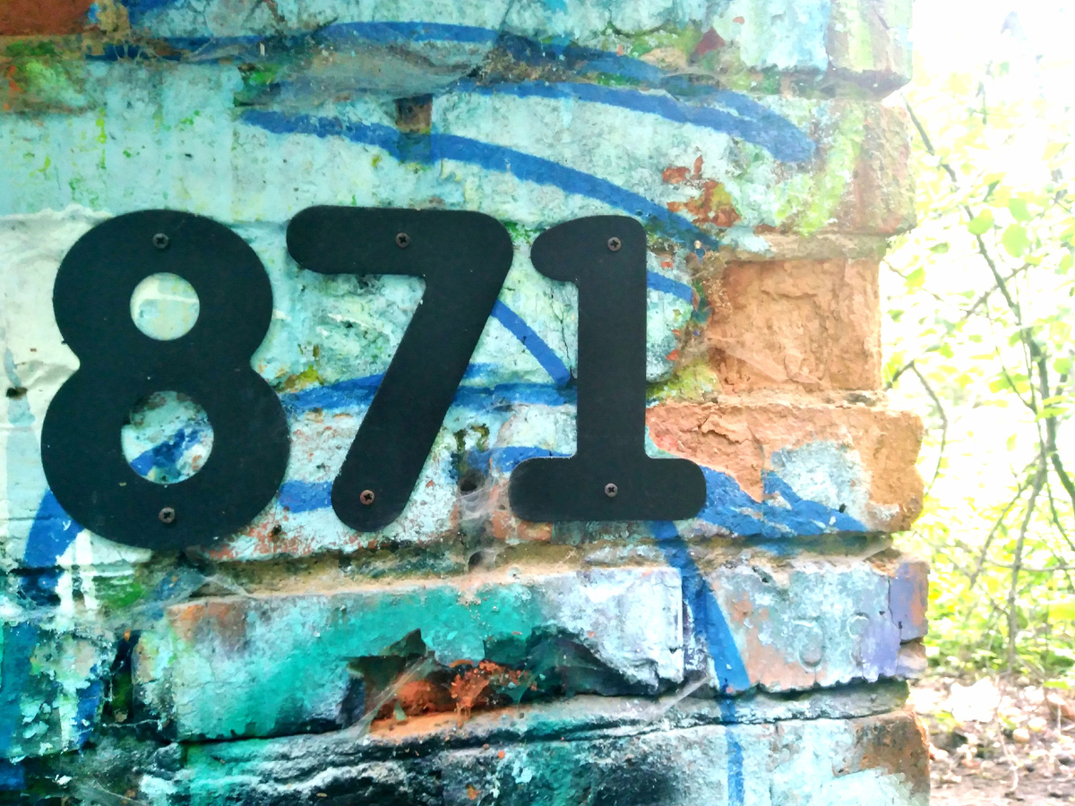 ⬇️🎞️⬆️ Авторские фото Михаила Соловьёва ... Сентябрь 2025  ⬇️🎞️⬆️