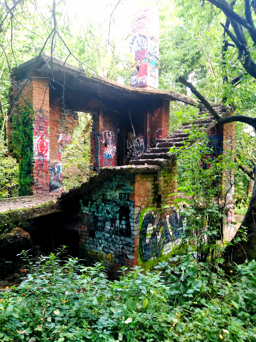 ⬆️🎞️⬇️  Развалина на улице Ф. Э. Дзержинского в сев.части Химкинского лесопарка, в сент 2025г. Видим нумерацию - 871 ! Фото Михаила Соловьёва  ... 