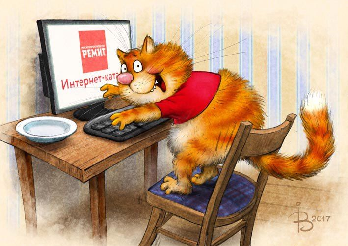 очаровательный котик Рины Зенюк