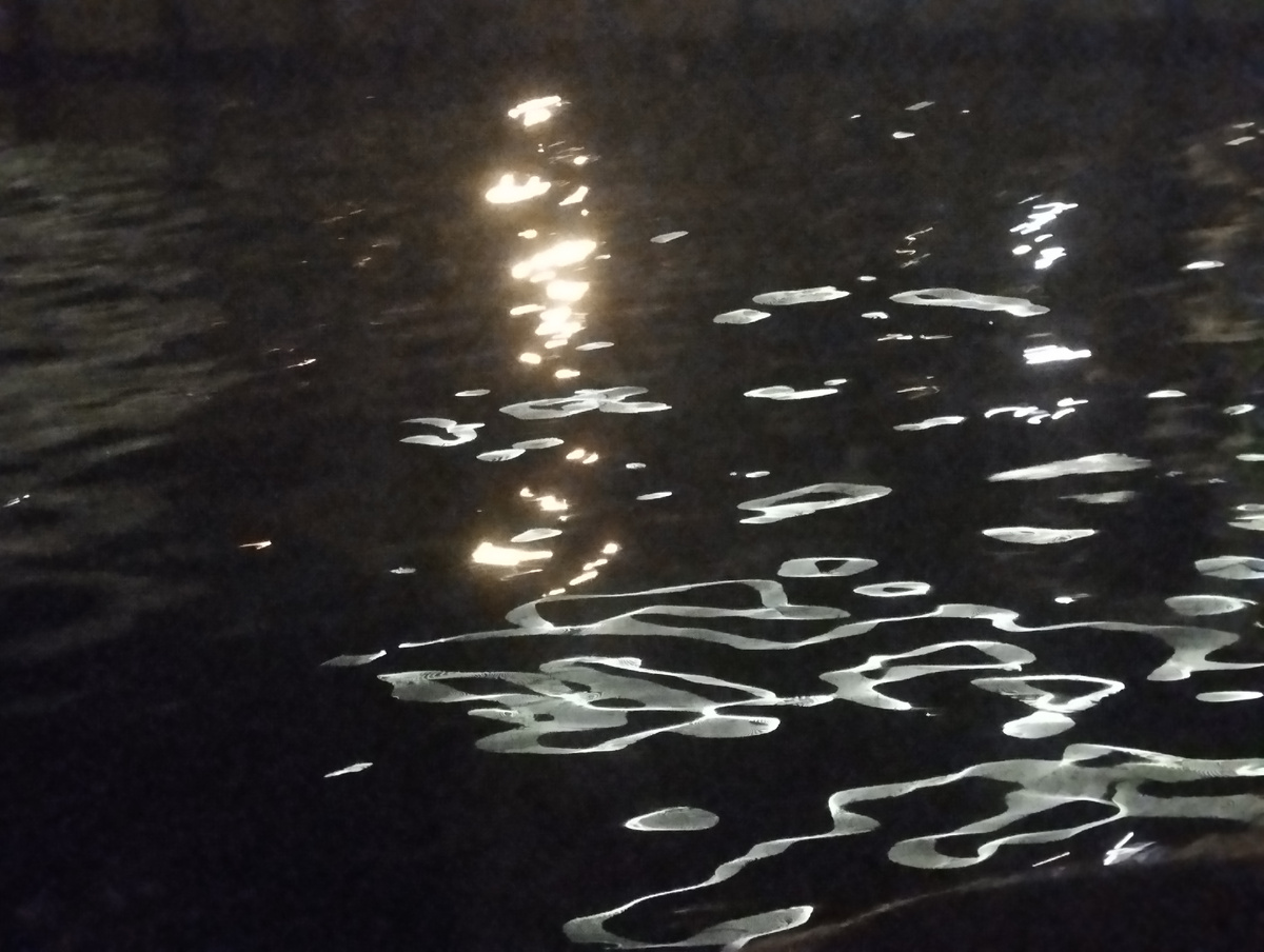 Москва-река. ЗДЕСЬ и далее фото автора и(или) из личного архива автора, если не указано иначе.