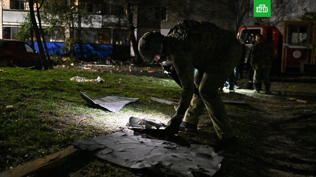    Фото: РИА Новости © 2025, Сергей Бобылев